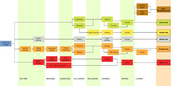 Tea Processing Chart